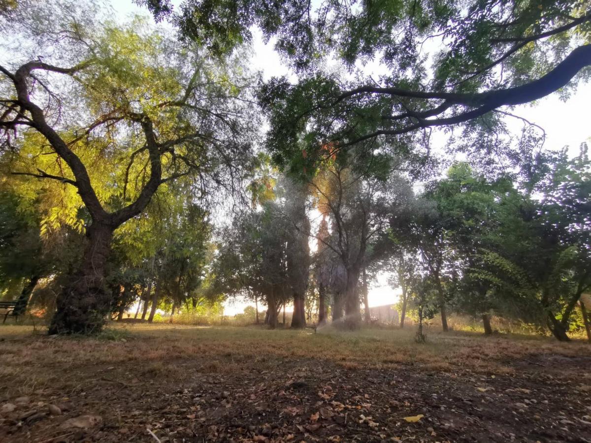 Finca El Naranjo Sevilla Dış mekan fotoğraf